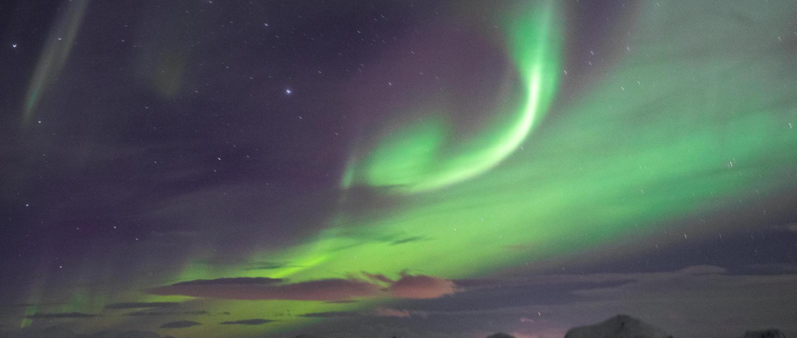 Workshop/B2B og Lutefisk