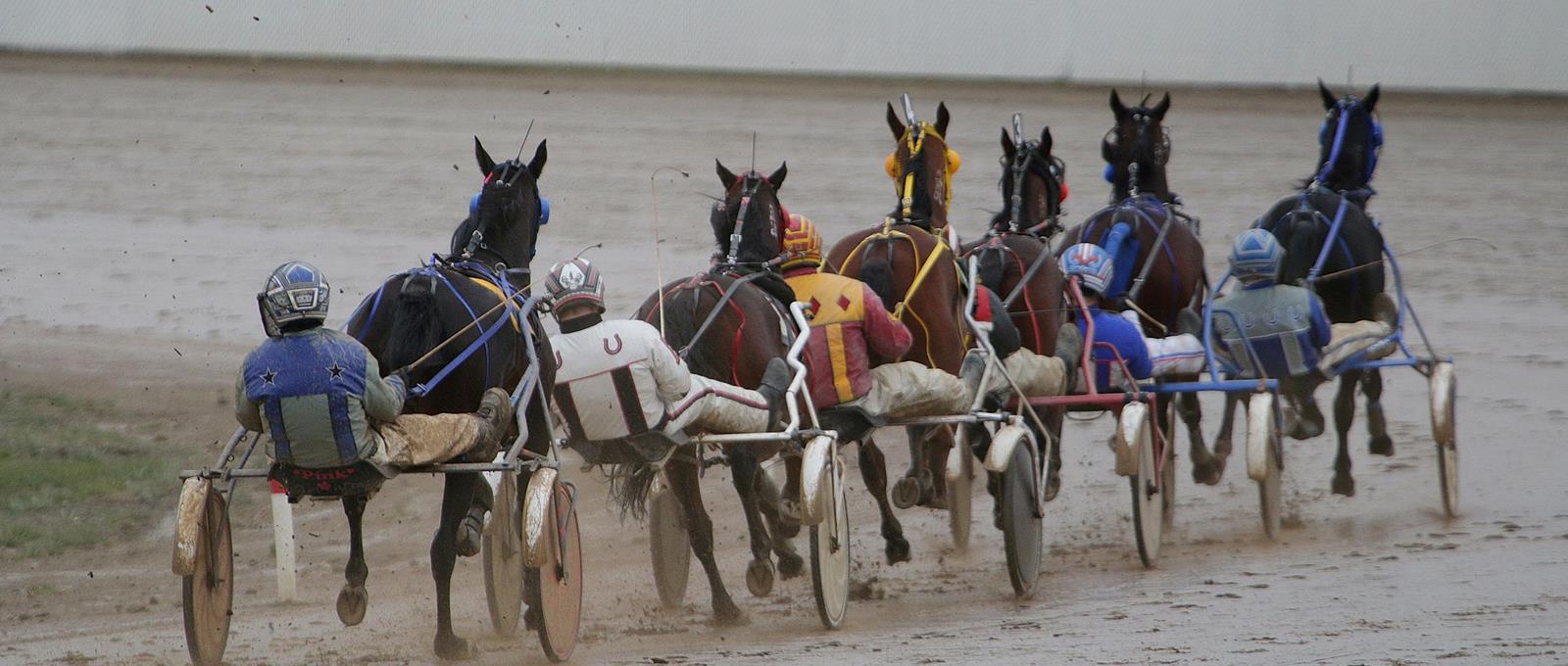 Nordic Arena Travdag