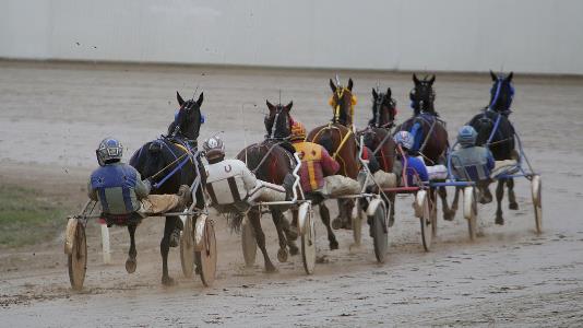 Nordic Arena Travdag